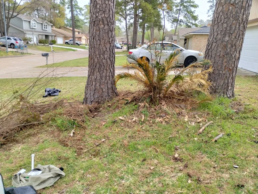 Reliable residential landscaping for year-round maintenance in Katy, TX by 19Rozez