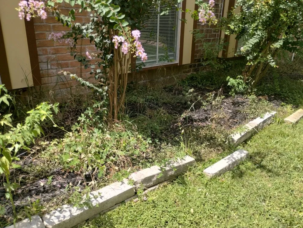 Expert yard cleanup service with custom design in Katy, TX by 19Rozez