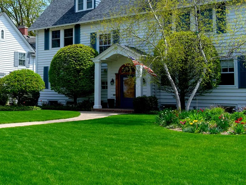 Professional yard maintenance for year-round maintenance in Mahtomedi, MN by 1More Lawn Care