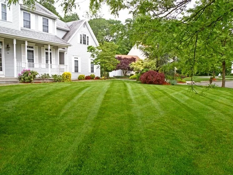 Trusted yard maintenance for year-round maintenance in Mahtomedi, MN by 1More Lawn Care