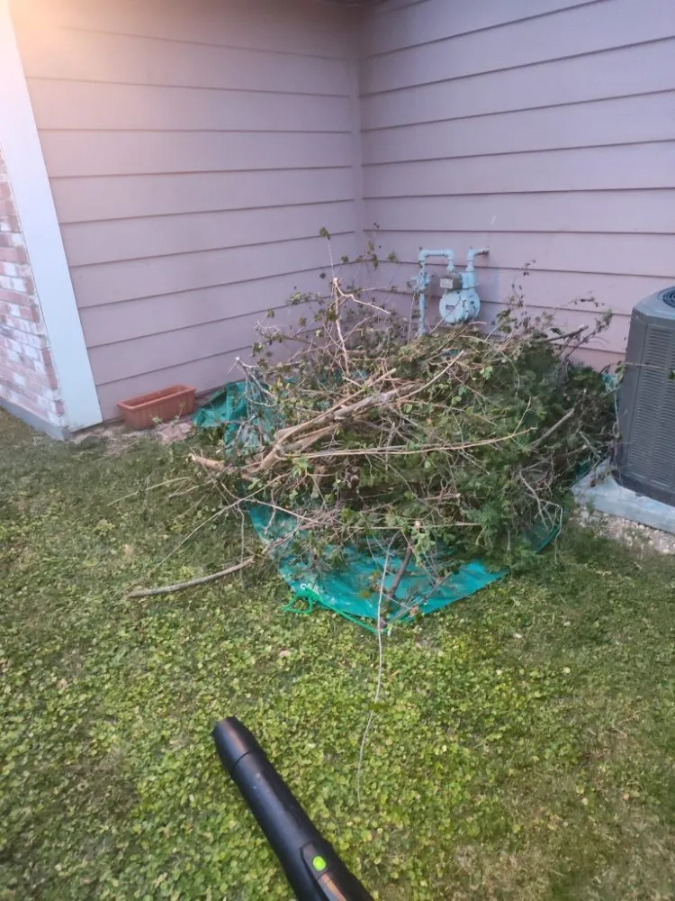 Affordable yard cleanup service in Hockley, TX - 1son Elect Mowers