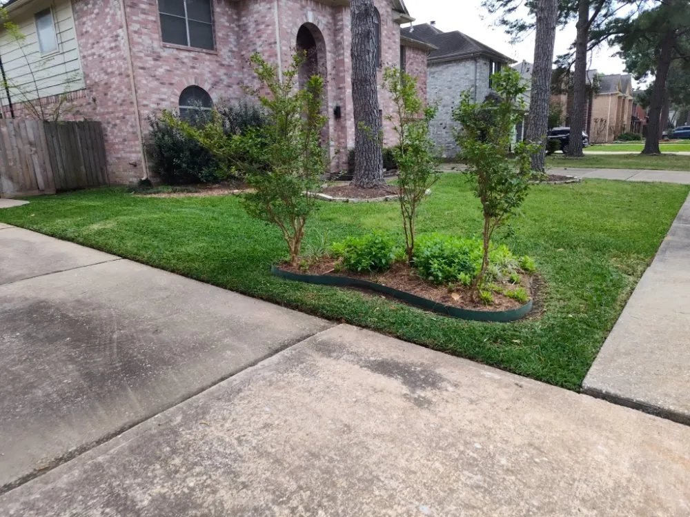 Local yard cleanup service for year-round maintenance in Hockley, TX by 1son Elect Mowers