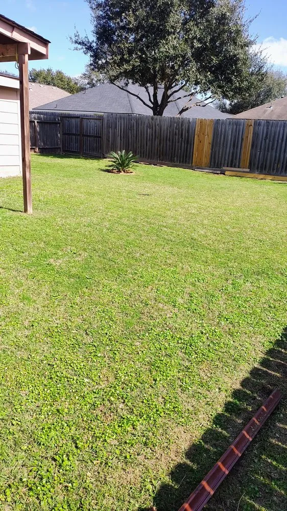 Trusted yard cleanup service for homes across Hockley, TX - 1son Elect Mowers