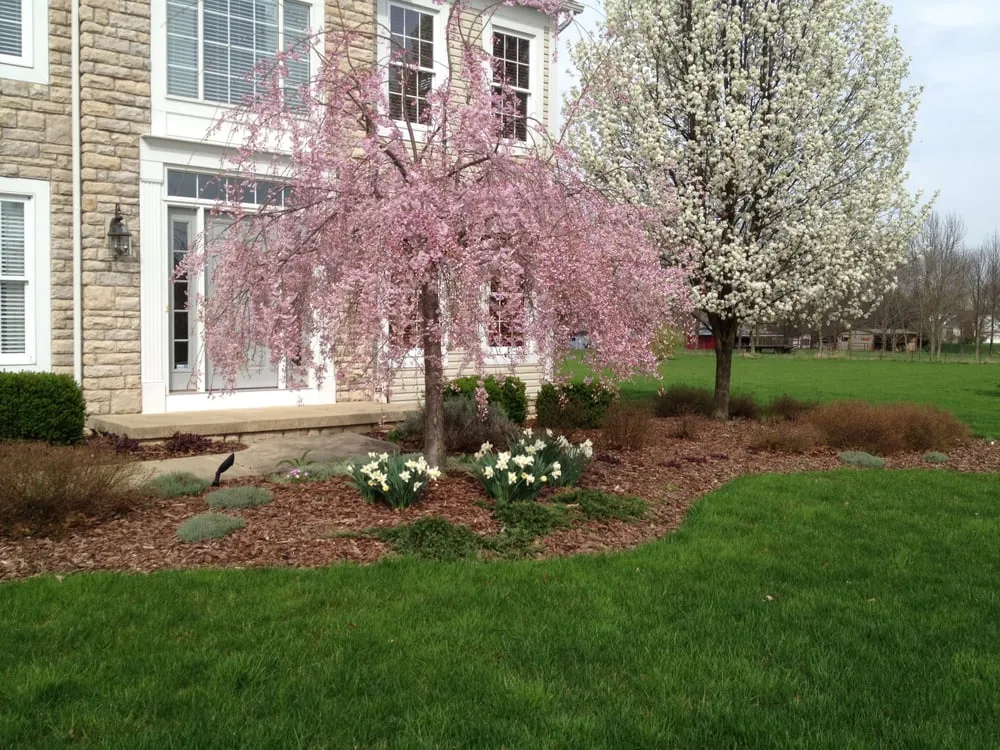 Local garden landscaping experts serving Litchfield, OH - 1st Buckeye Landscapes