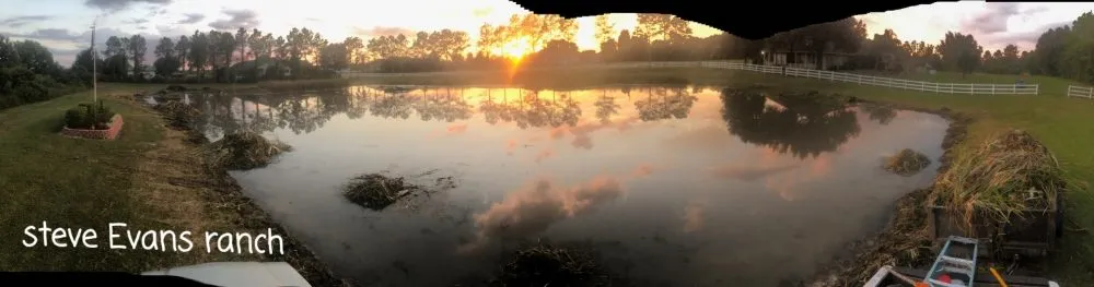 Affordable outdoor landscaping in Davenport, FL - 1st Choice Aquatics & Land Management