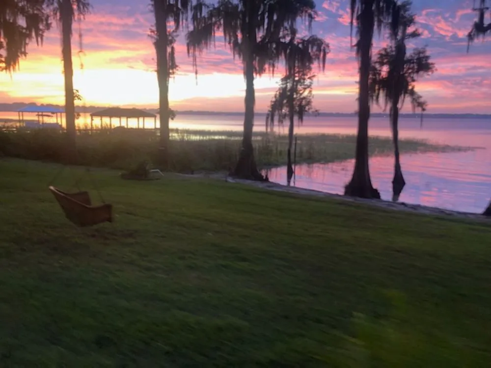 Top-rated outdoor landscaping in Davenport, FL - 1st Choice Aquatics & Land Management