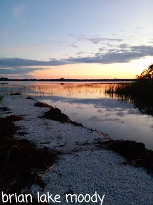 1st Choice Aquatics & Land Management Logo