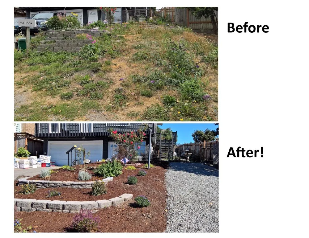 Top-rated outdoor landscaping for homes across Seattle, WA - 1st Choice Landscapes