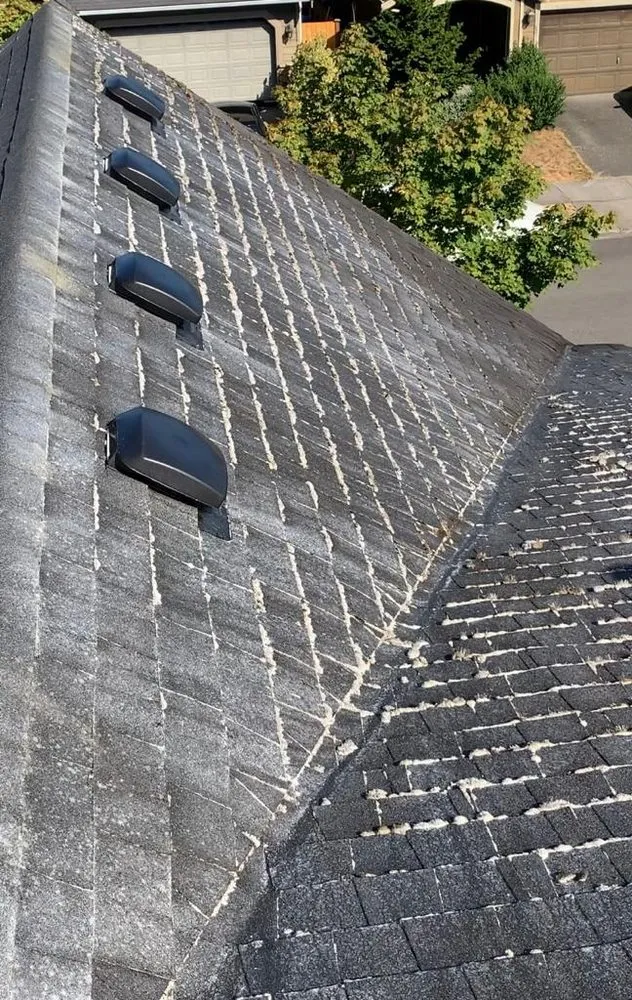 Custom yard cleanup service with custom design across Marysville, WA - 1St Choice Landscaping