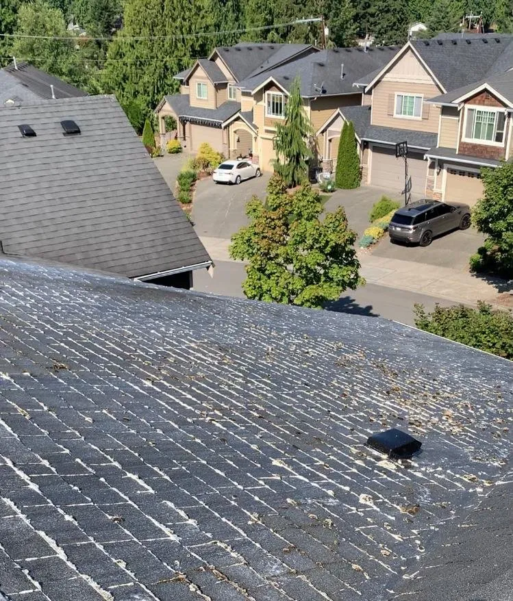 Affordable garden landscaping in Marysville, WA by 1St Choice Landscaping