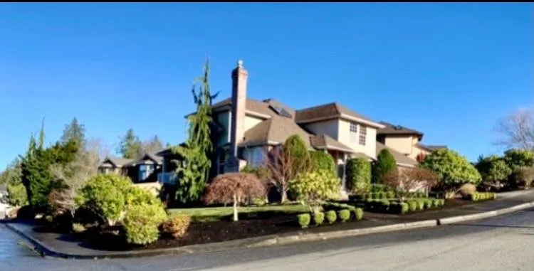 Top-rated yard cleanup service near you across Marysville, WA - 1St Choice Landscaping