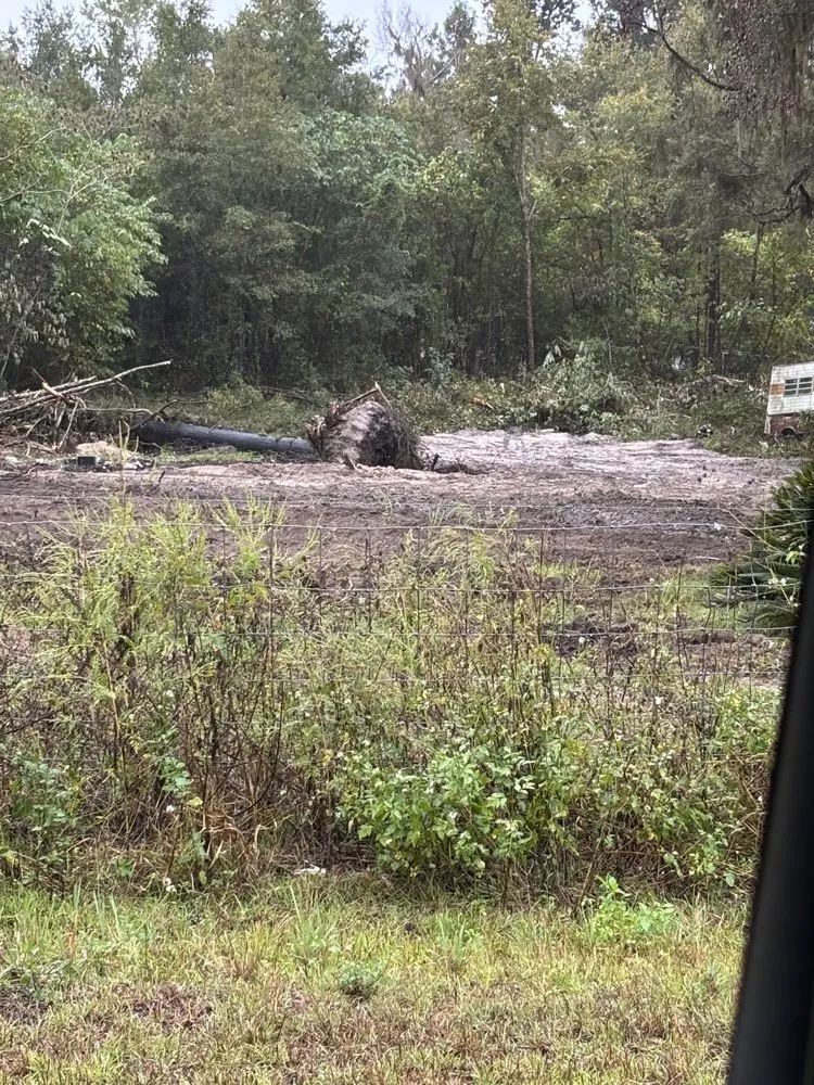 Local lawn mowing service in Port Charlotte, FL by 1st Choice Landscaping