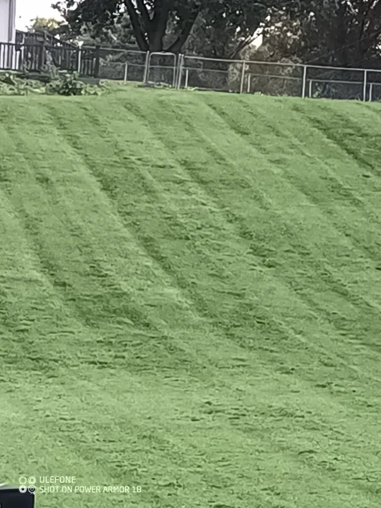 Expert residential landscaping in Collinsville, IL - 1st Choice Lawn Care