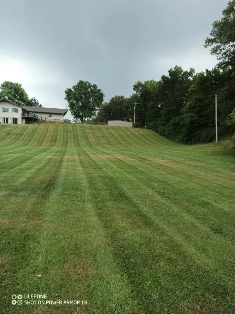 Reliable yard maintenance experts serving Collinsville, IL - 1st Choice Lawn Care