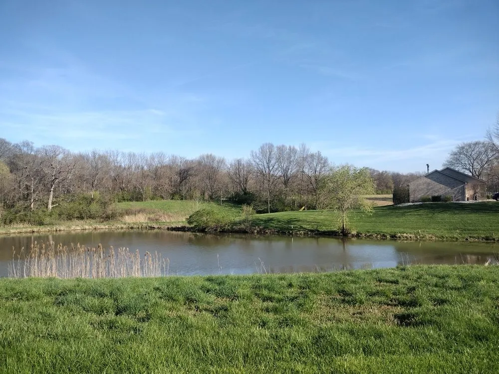 Top-rated yard cleanup service in Collinsville, IL by 1st Choice Lawn Care