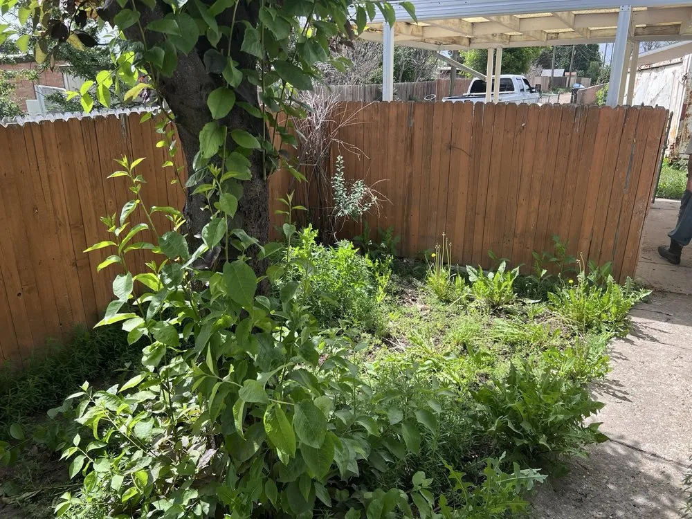 Trusted landscape installation in Cheyenne, WY by 1st Choice Lawn Services