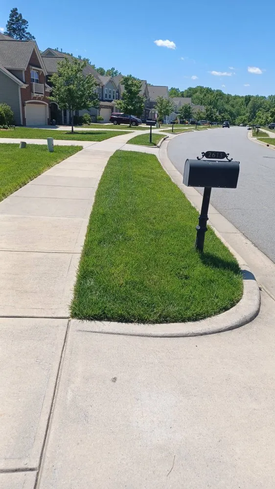 Custom residential landscaping experts serving Davidson, NC - 1st Choice Power Washing & More