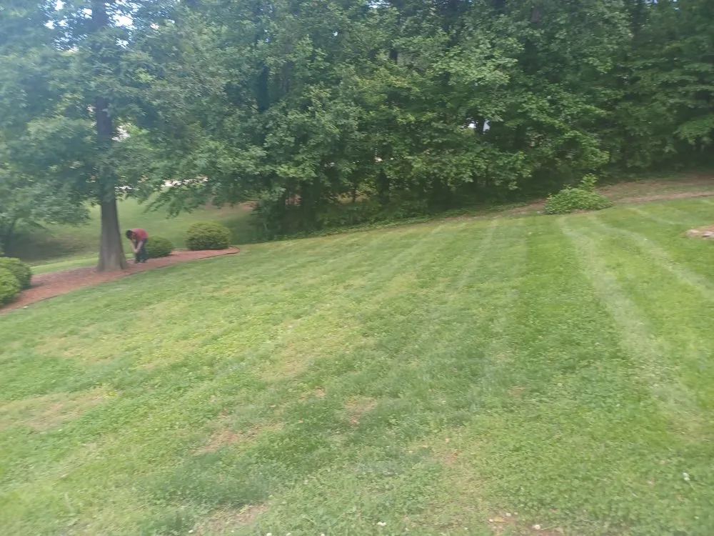 Reliable yard cleanup service in Davidson, NC - 1st Choice Power Washing & More
