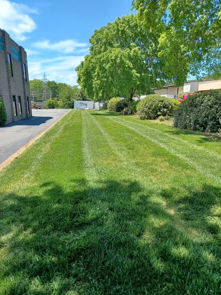 Custom landscape installation for beautiful yards across Davidson, NC - 1st Choice Power Washing & More