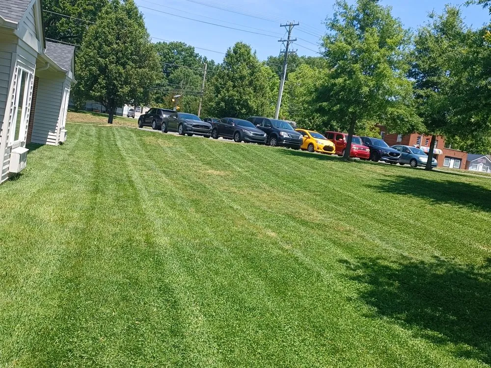 Expert yard cleanup service experts serving Davidson, NC - 1st Choice Power Washing & More