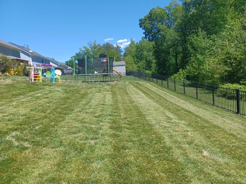 Professional yard maintenance experts serving Davidson, NC - 1st Choice Power Washing & More