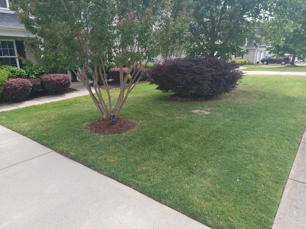 Local lawn care service near you in Davidson, NC by 1st Choice Power Washing & More
