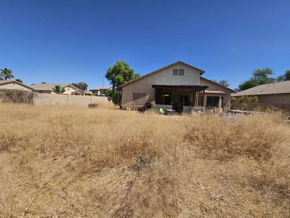 Affordable lawn care service for year-round maintenance in Maricopa, AZ by 1st Choice Property Care