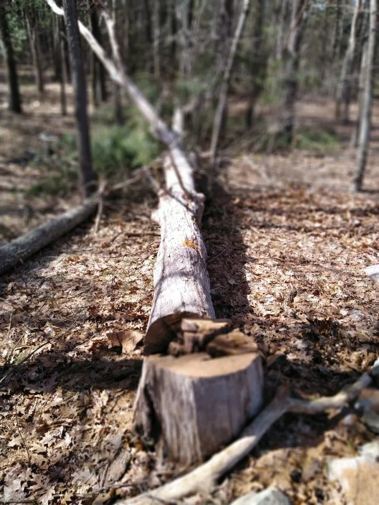 Expert garden landscaping for homes across Dudley, MA - 1st Choice Residential Services