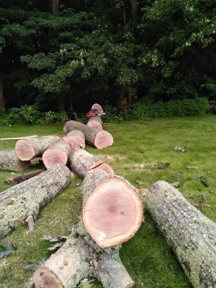 Expert yard cleanup service experts serving Dudley, MA - 1st Choice Residential Services