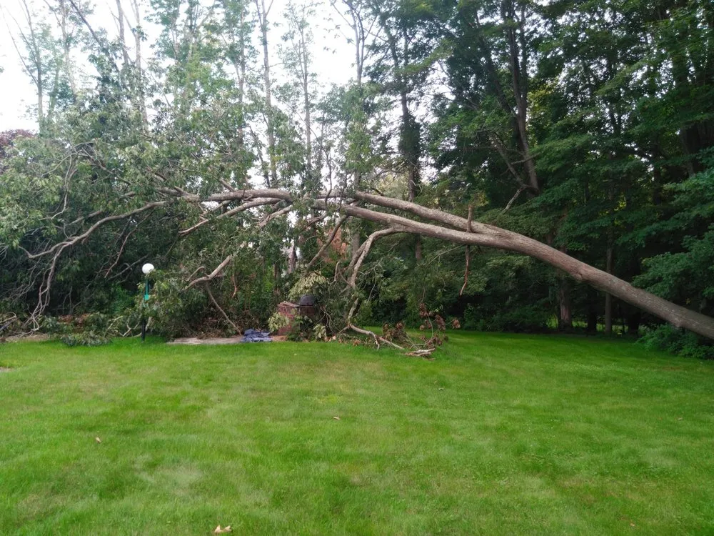 Trusted residential landscaping for beautiful yards across Dudley, MA - 1st Choice Residential Services