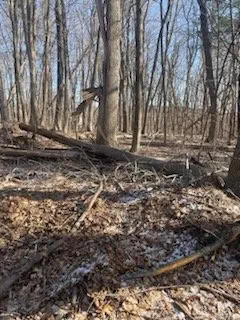 Expert residential landscaping in Dudley, MA by 1st Choice Residential Services