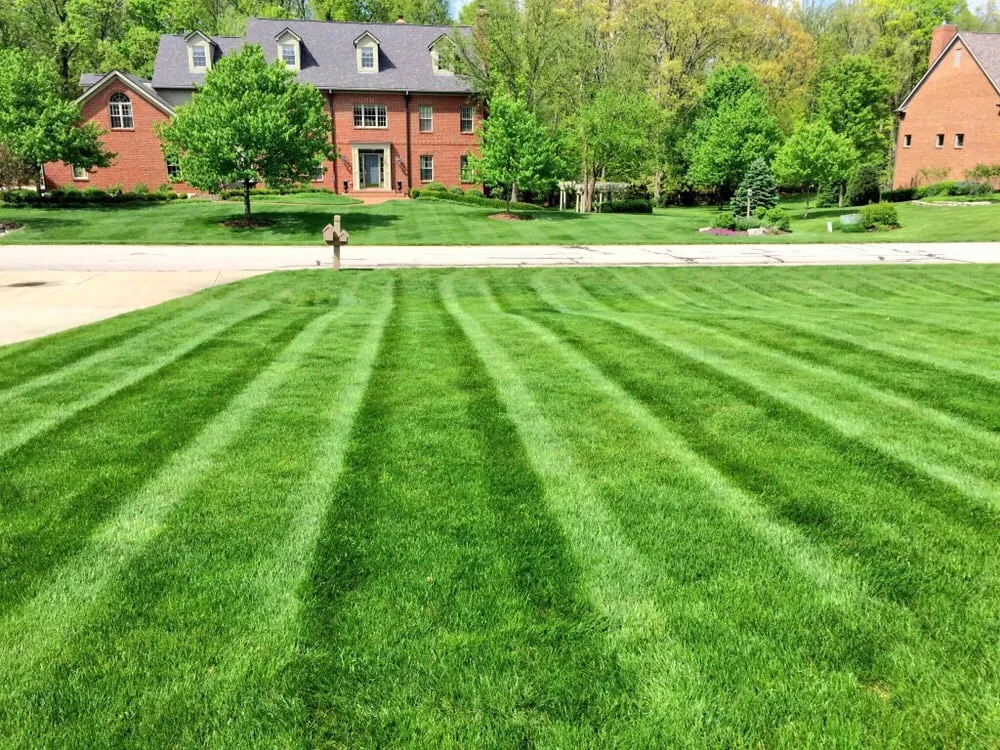 Reliable yard maintenance in Dublin, OH by 1st Choice Yard Care