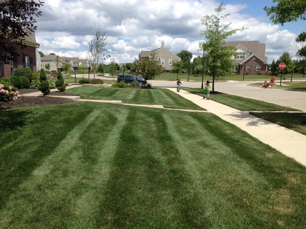 Professional landscape installation for outdoor upgrades in Dublin, OH by 1st Choice Yard Care