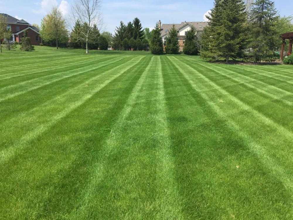Expert yard maintenance in Dublin, OH by 1st Choice Yard Care