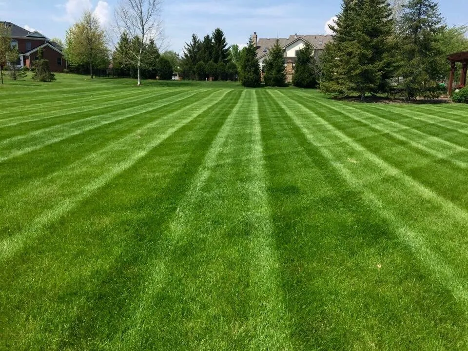Expert yard maintenance experts serving Dublin, OH - 1st Choice Yard Care