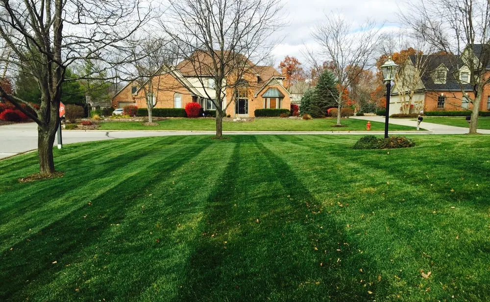 Reliable yard maintenance experts serving Dublin, OH - 1st Choice Yard Care