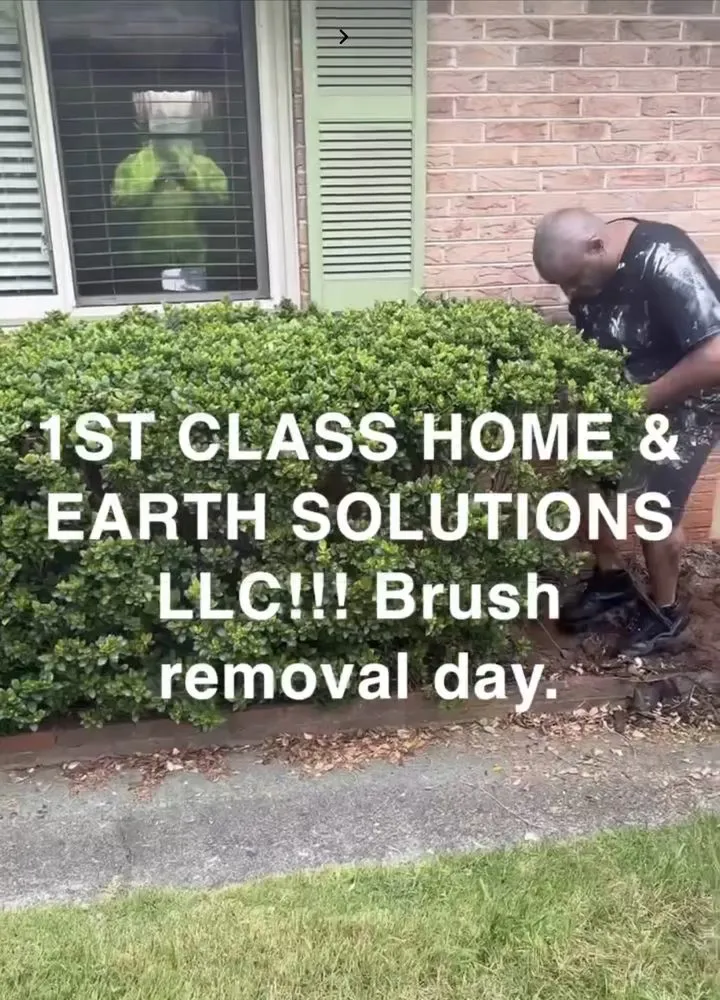 Local yard cleanup service in Lenoir, NC by 1st Class Home & Earth Solutions