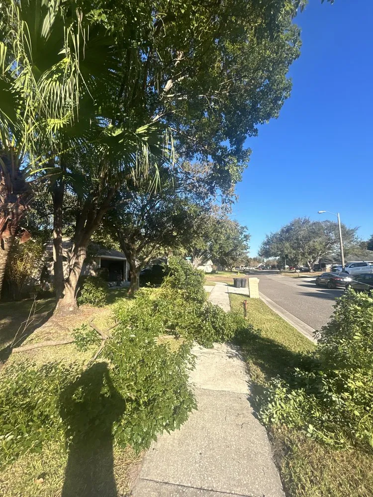 Professional yard maintenance with custom design in Winter Park, FL by 1st Class Lawn Care & Maintenance