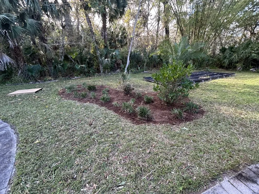 Expert landscape installation for outdoor upgrades across Winter Park, FL - 1st Class Lawn Care & Maintenance