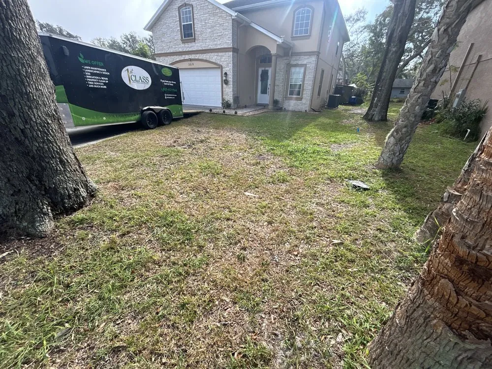 Custom yard cleanup service experts serving Winter Park, FL - 1st Class Lawn Care & Maintenance