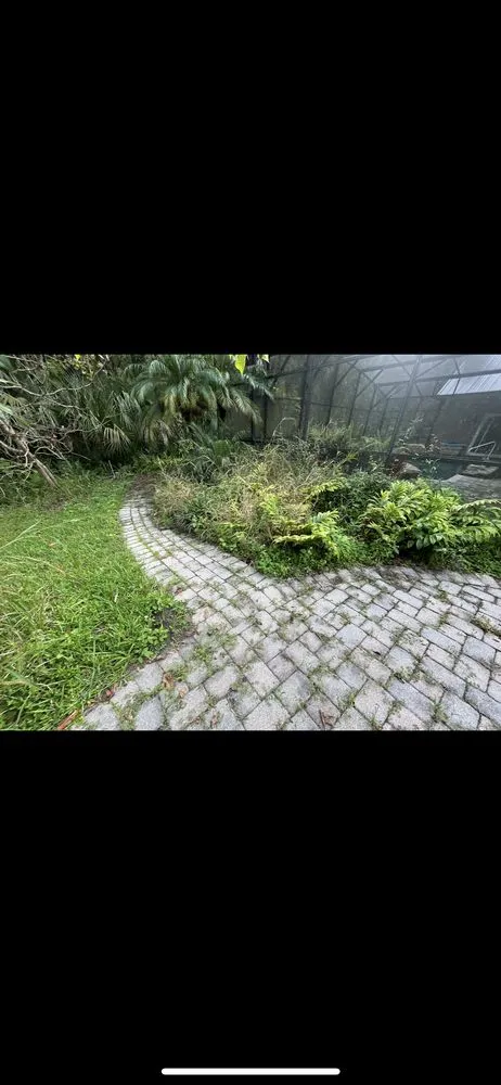 Custom lawn mowing service in Winter Park, FL - 1st Class Lawn Care & Maintenance