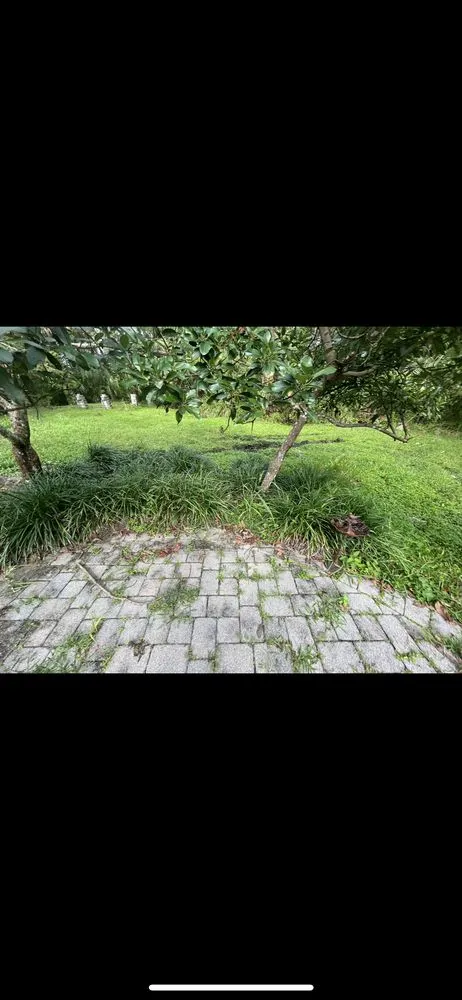 Expert outdoor landscaping for homes in Winter Park, FL by 1st Class Lawn Care & Maintenance