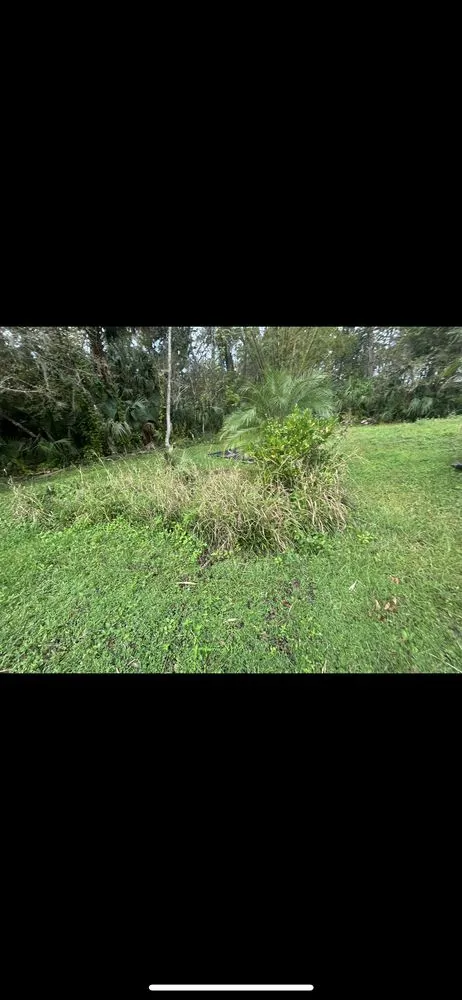 Trusted landscape installation in Winter Park, FL by 1st Class Lawn Care & Maintenance