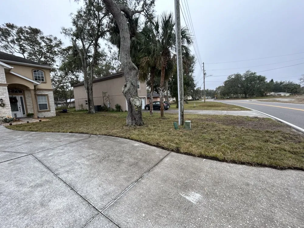 Custom landscape design in Winter Park, FL - 1st Class Lawn Care & Maintenance