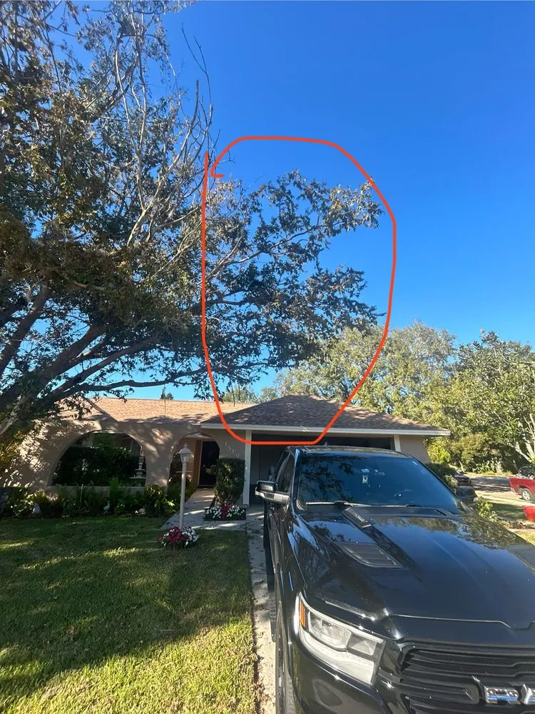 Trusted garden landscaping in Winter Park, FL - 1st Class Lawn Care & Maintenance