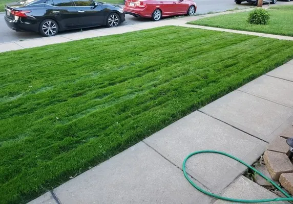 1st Class Lawn Care Service Logo