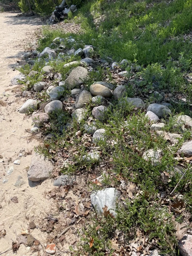 Professional lawn mowing service in Mancelona, MI by 1st Cor Maintenance