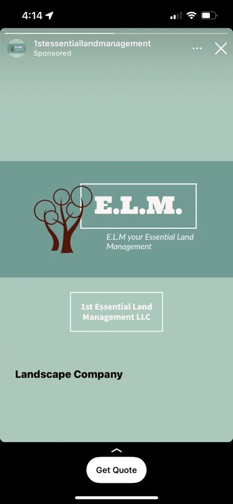 Top-rated yard cleanup service for beautiful yards across Boerne, TX - 1st Essential Land Management