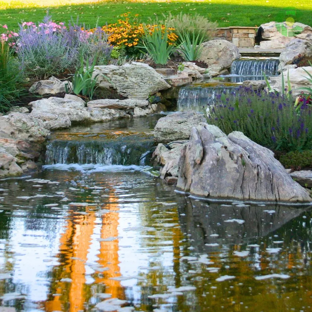 Top-rated lawn care service in Lafayette, CO by 1st Green Colorado