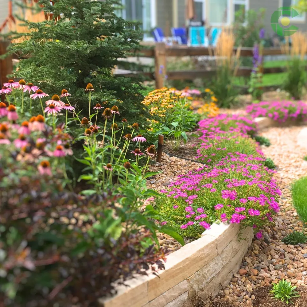 Reliable lawn mowing service with custom design across Lafayette, CO - 1st Green Colorado